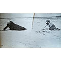 Mewa i Henryk Stażewski na plaży w Sopocie